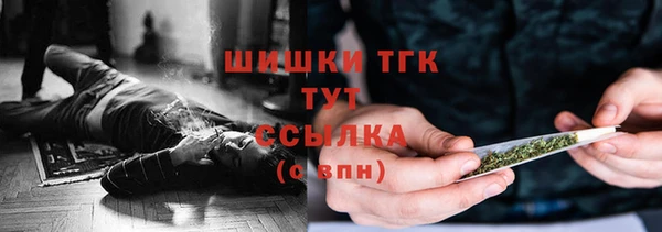 первитин Богданович