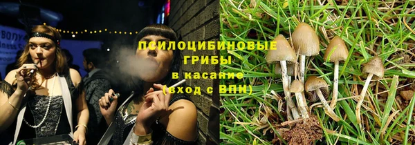первитин Богданович