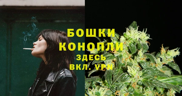 PSILOCYBIN Богородицк