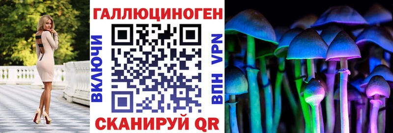 закладки Великие Луки Псилоцибиновые грибы Psilocybine cubensis